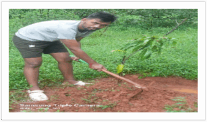 Presentation Of Konkan Wild Vegetable & Ayurvedik Plant